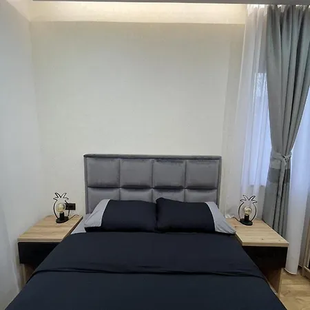 Sara - Divcinova Apartman *